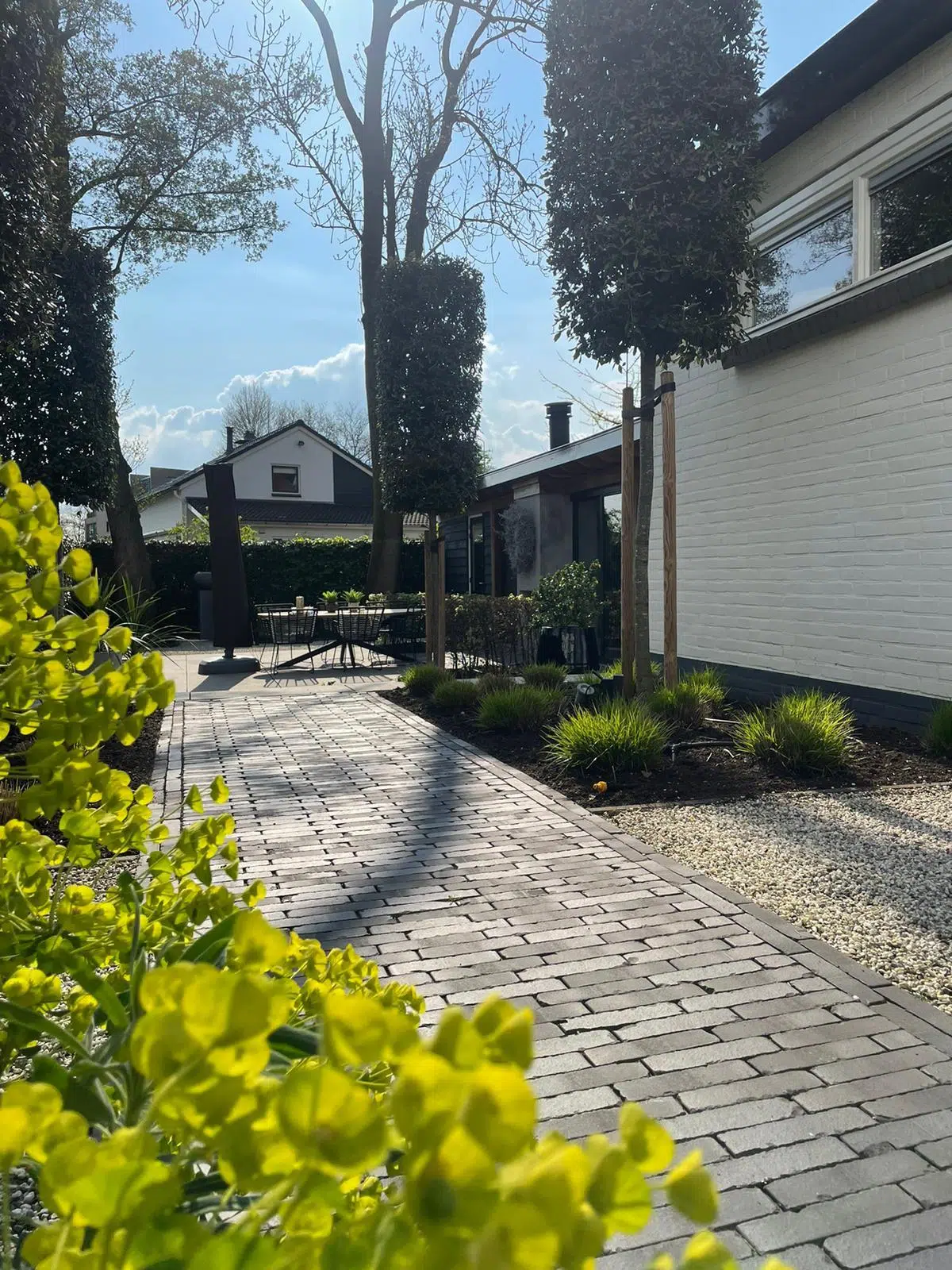 Home 7 BdV Tuinspecialist